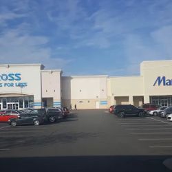 Marshalls ico