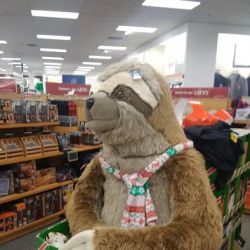 Kohl's ico