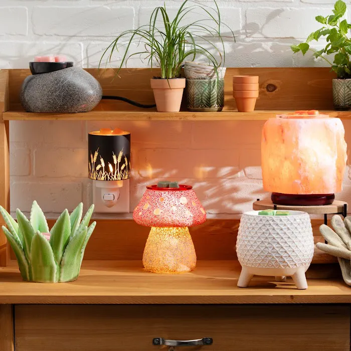 Amy MC, Your Scentsy Lady 5