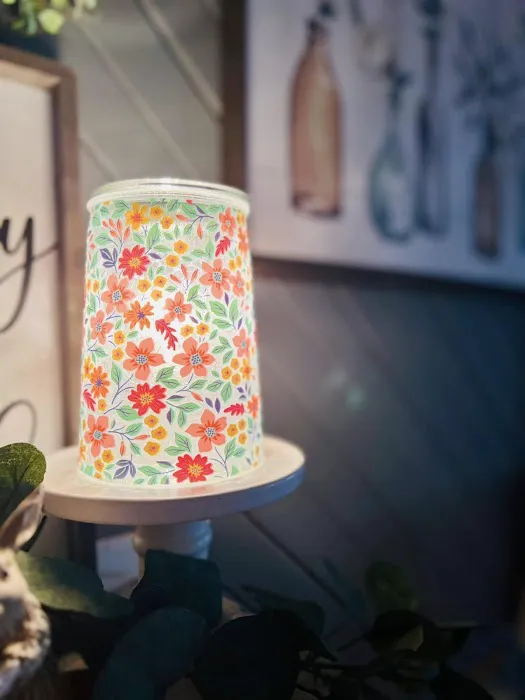 Amy MC, Your Scentsy Lady 3
