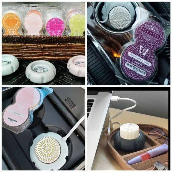 Amy MC, Your Scentsy Lady 9