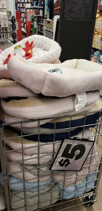 Five Below 7
