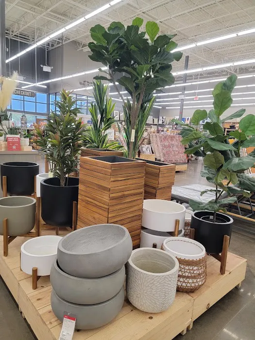 World Market 5