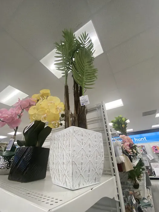 Ross Dress for Less 0