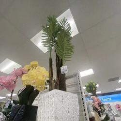 Ross Dress for Less ico