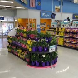 Walmart Supercenter ico