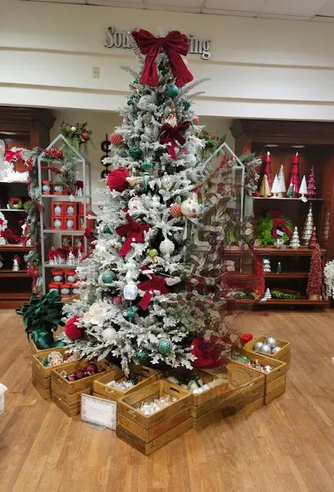 Dillard's 0