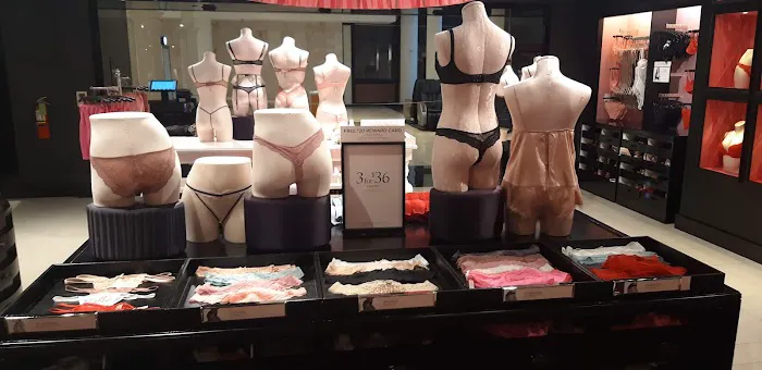 PINK by Victoria's Secret 4