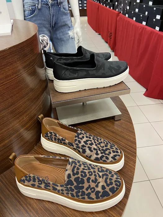 Belk 6