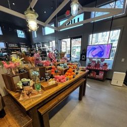 Lush Cosmetics Southlake ico