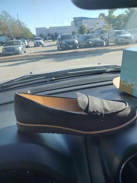 Belk 8