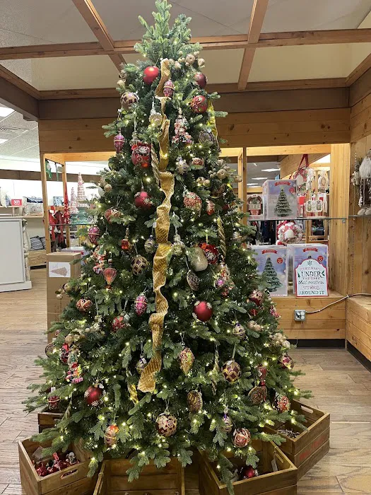 Dillard's 6