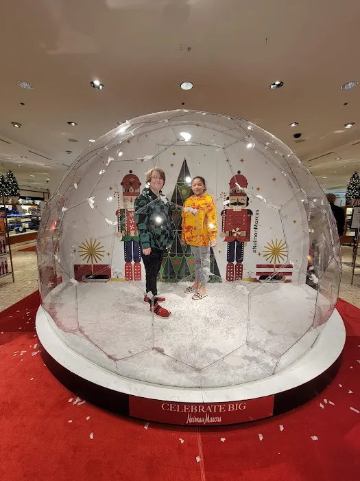 Neiman Marcus 5