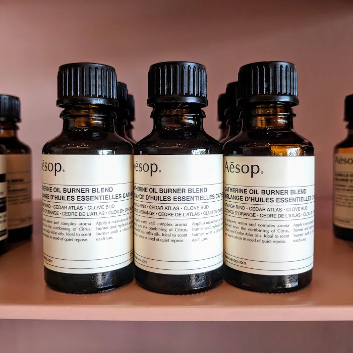 Aesop Knox 4