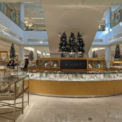 Neiman Marcus ico
