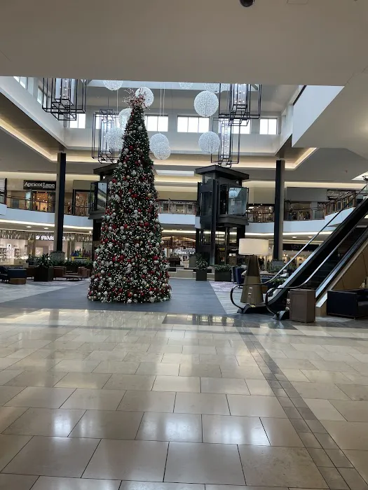 Neiman Marcus 6