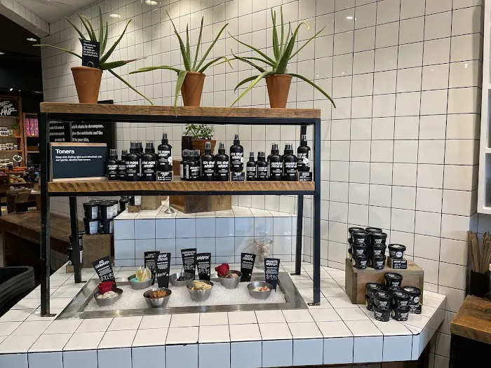 Lush Cosmetics North Park 5