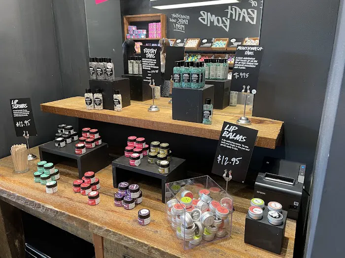 Lush Cosmetics North Park 6