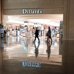 Dillard's ico
