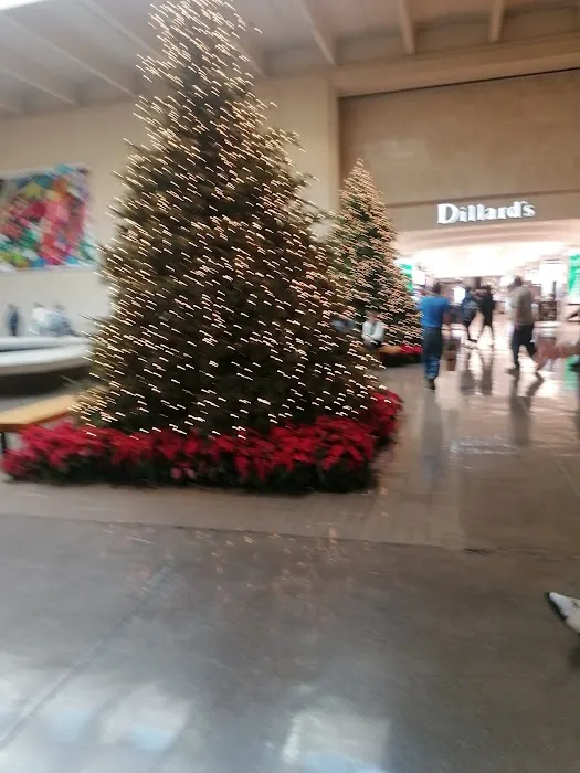 Dillard's 3