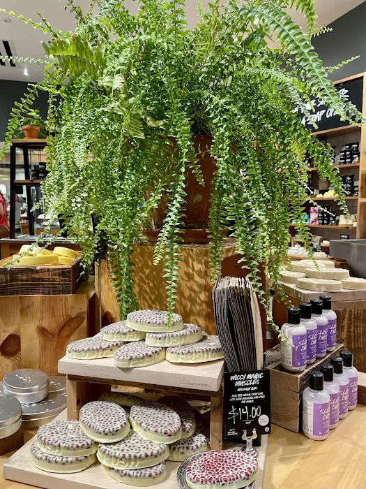 Lush Cosmetics Galleria Dallas 2