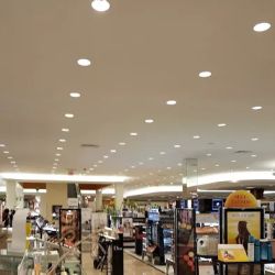 Dillard's ico