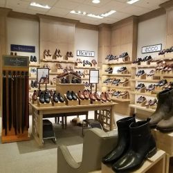 Dillard's ico