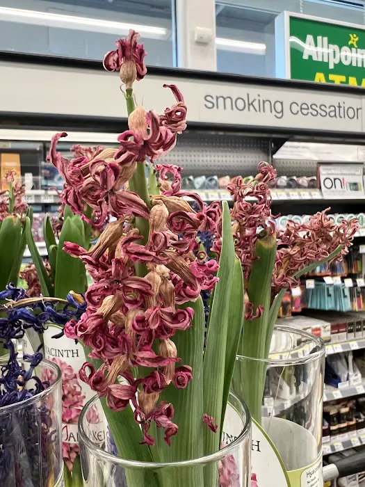 Walgreens 9
