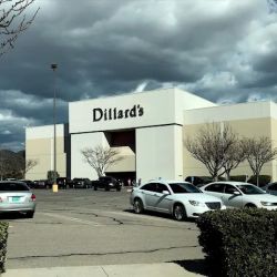 Dillard's ico