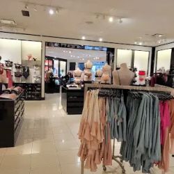 Victoria's Secret & PINK by Victoria's Secret ico
