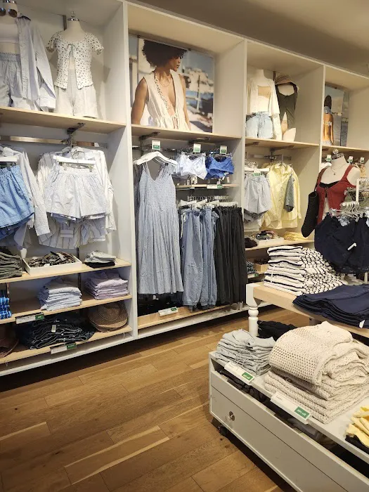 Aerie 8