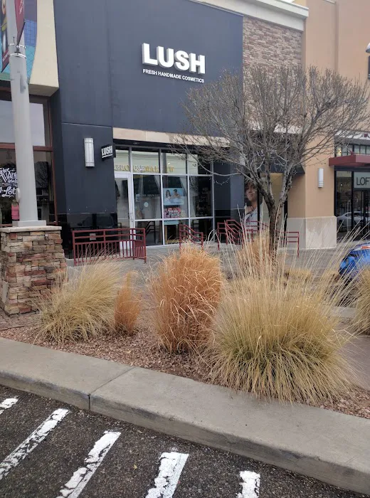 Lush Cosmetics ABQ Uptown 4