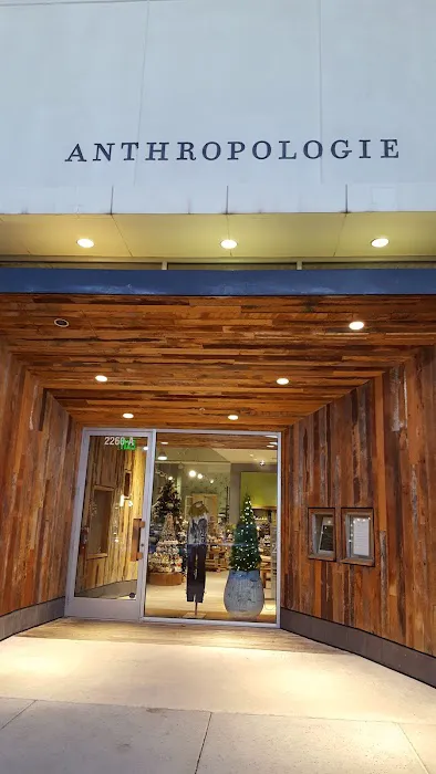 Anthropologie 1