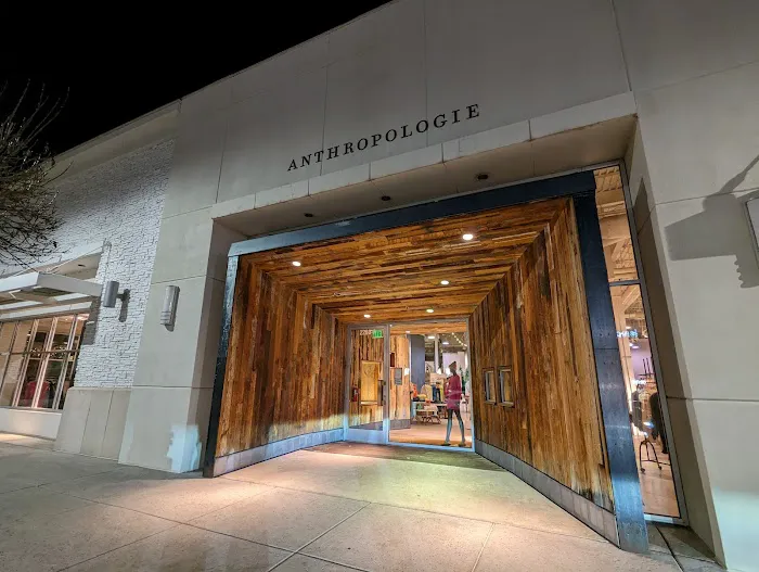 Anthropologie 0