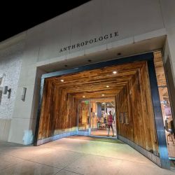 Anthropologie ico