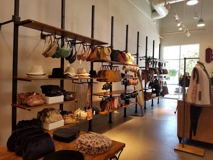 Anthropologie 3