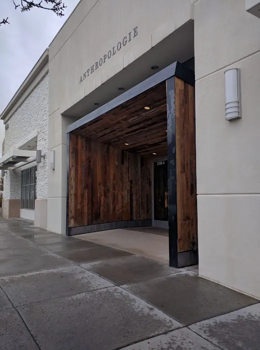 Anthropologie 4