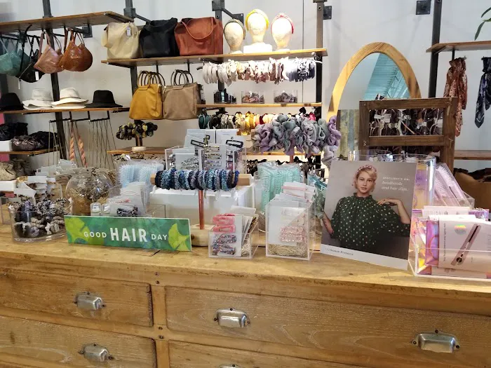 Anthropologie 5