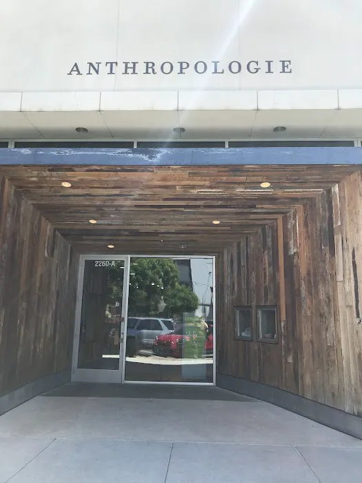 Anthropologie 8