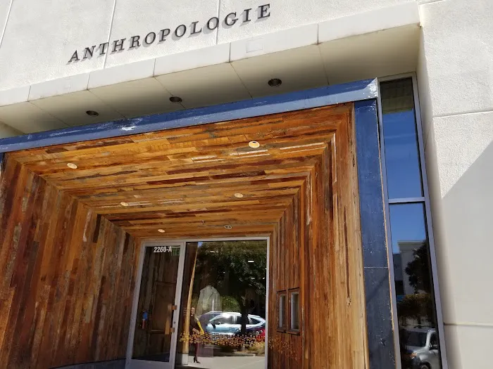 Anthropologie 6