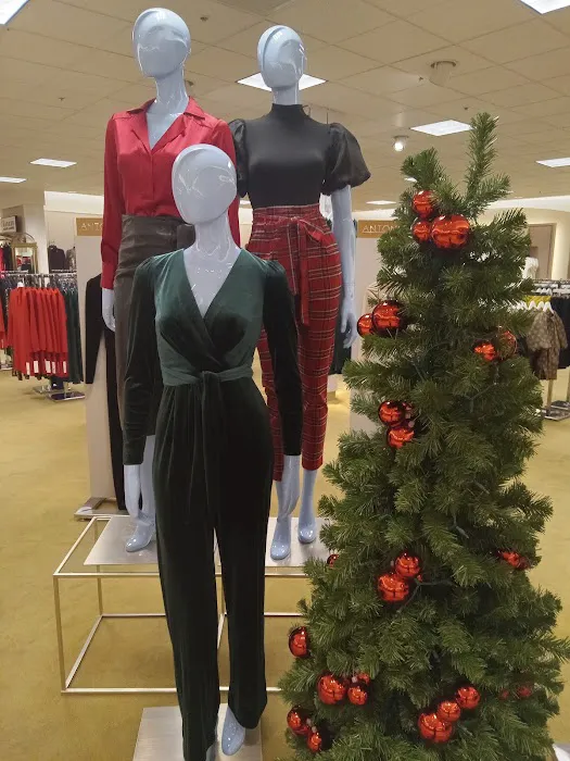 Dillard's 1