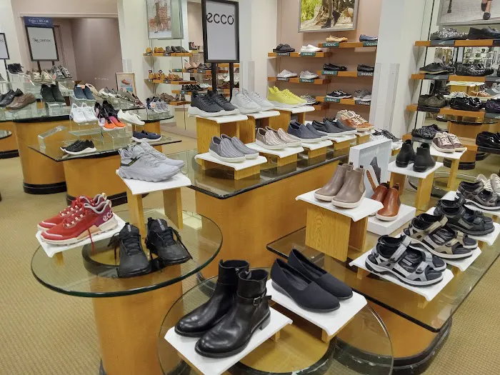Dillard's 2