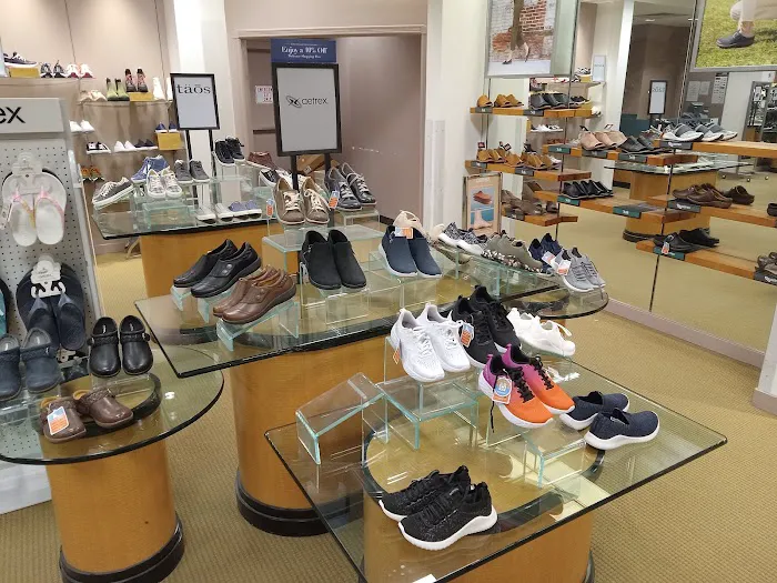 Dillard's 7