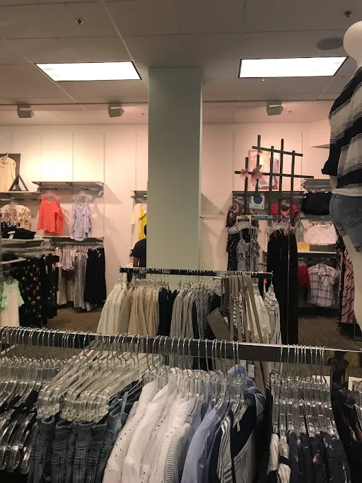 Maurices 4