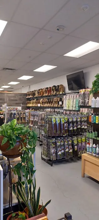 Sankofa Beauty Supply 1