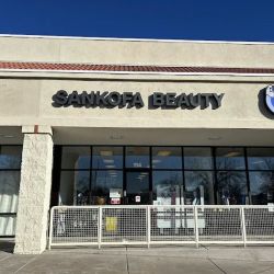Sankofa Beauty Supply ico