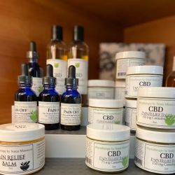 Sonia Masocco Phytotherapy ico