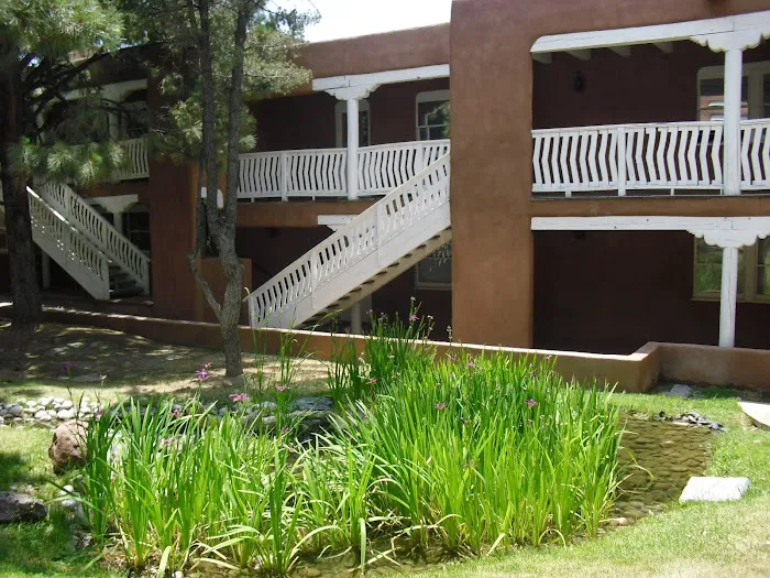 Sonia Masocco Phytotherapy 4