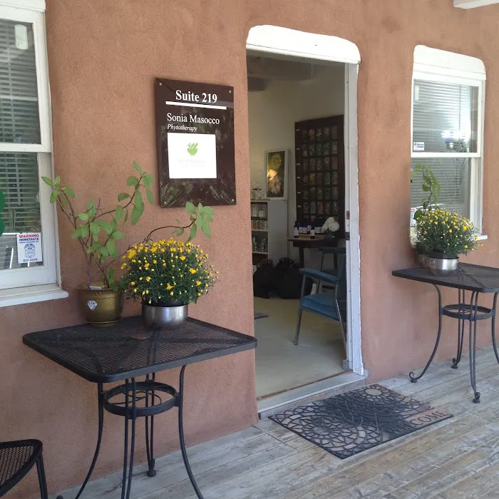 Sonia Masocco Phytotherapy 5