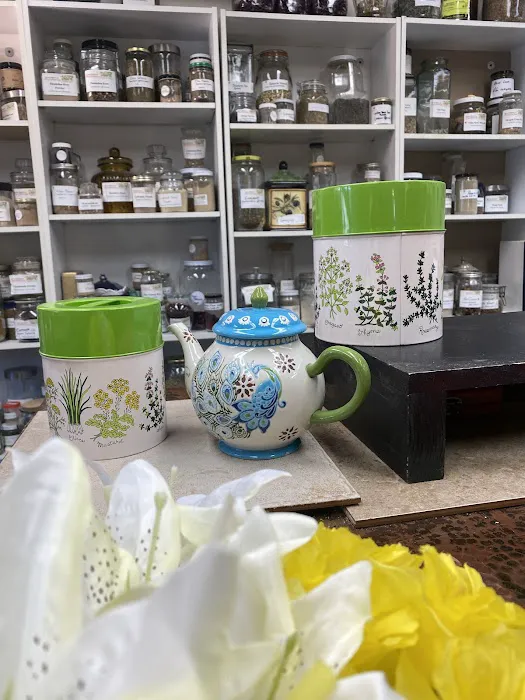 Sonia Masocco Phytotherapy 9
